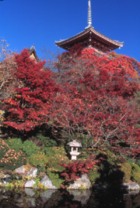 picture of Japanese temple