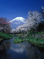 glamour photo of Mount Fuji